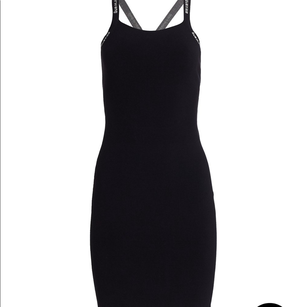 Alexander Wang Dress, total steal!